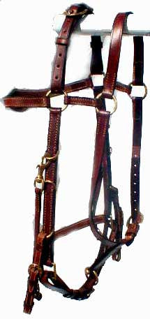 Halter Bridle