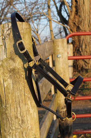 Triple Stitched Leather Halter